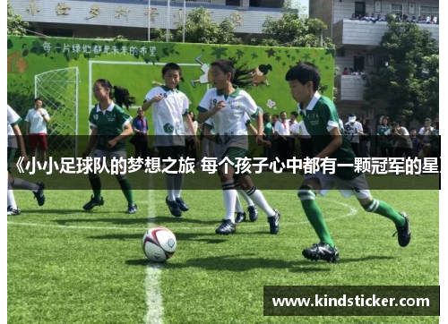 《小小足球队的梦想之旅 每个孩子心中都有一颗冠军的星》