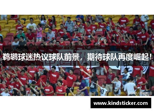 鹈鹕球迷热议球队前景，期待球队再度崛起！