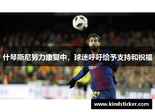 什琴斯尼努力康复中，球迷呼吁给予支持和祝福